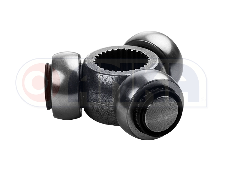 AKS MAFSALI (27 DİŞ) (MASTER III )