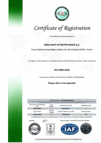ISO 45001-2018 Certificate Anka English 16.10.2024_page-0001